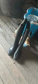 Bottes équitation, Animaux & Accessoires, Enlèvement, Comme neuf, Femmes