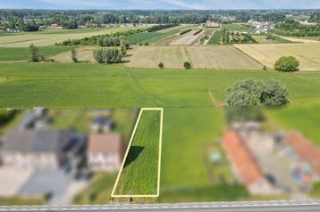 Grond te koop in Wichelen beschikbaar voor biedingen