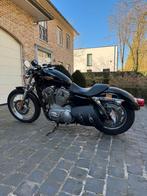 Harley-Davidson XL 883 L Sportster, Motos, Permis Moto A, Plus de 35 kW, Chopper, 2 cylindres