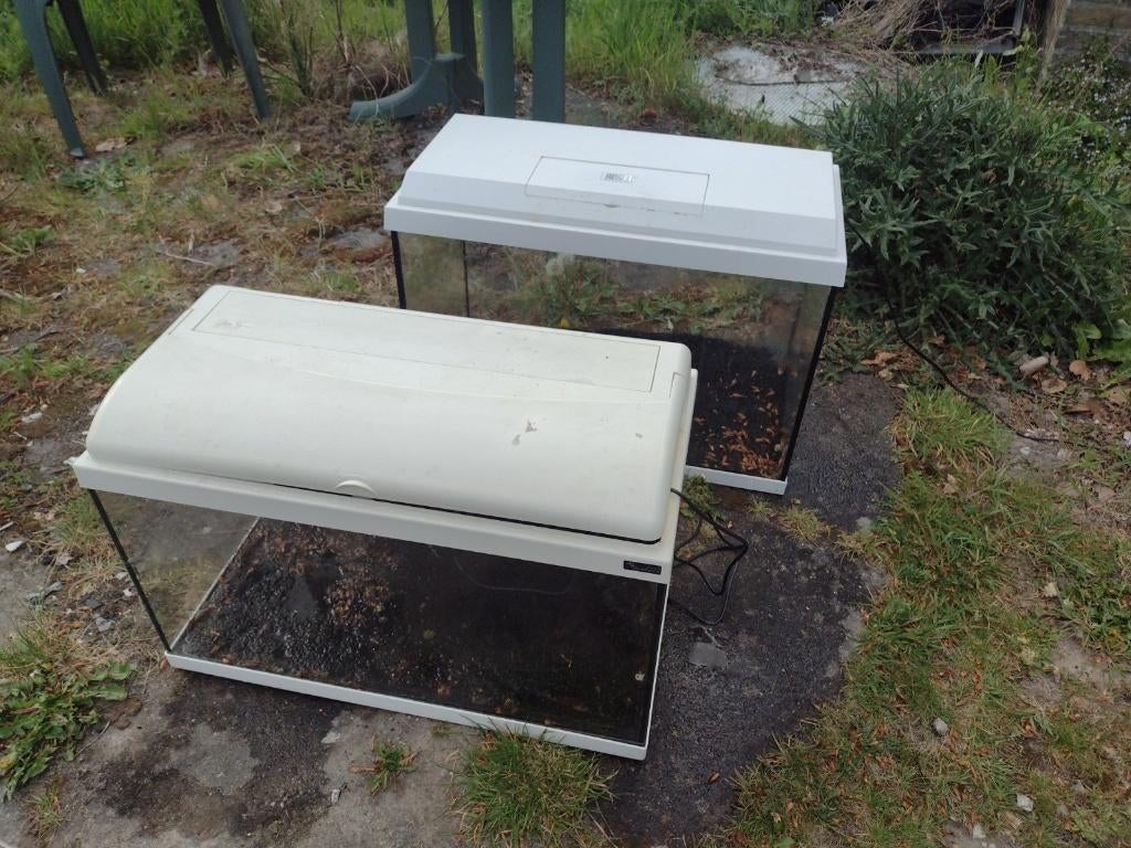 2 x aquarium juwel primo 70 wit + heel veel toebehoren, Dieren en Toebehoren, Vissen | Aquaria en Toebehoren, Juwel, Ophalen