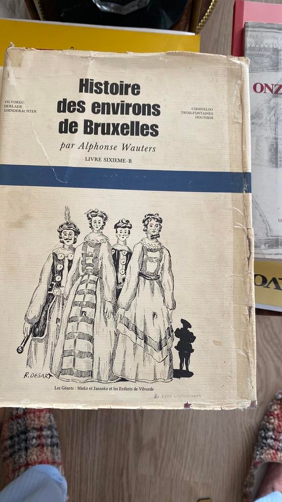 Histoire des trois fontaines de Bruxelles Coninxloo, Livres, Histoire nationale, Enlèvement, Comme neuf