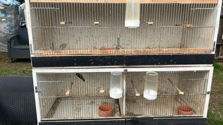 4 KWEEKBAKKEN AFM: 1.05M X 40 X 40cm VOOR 45 EURO !!, Dieren en Toebehoren, Vogels | Toebehoren, Gebruikt, Overige typen, Ophalen