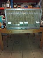 Cage d élevage, Animaux & Accessoires, Enlèvement, Comme neuf, Synthétique, Cage d'élevage