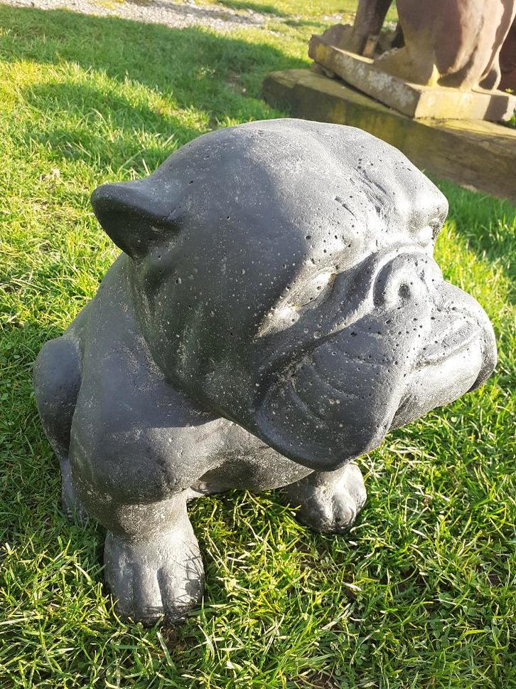 ENGELSE BULLDOG IN GEPATINEERDE STEEN (hoogte 40 CM)., Tuin en Terras, Tuinbeelden, Nieuw, Dierenbeeld, Overige materialen, Ophalen