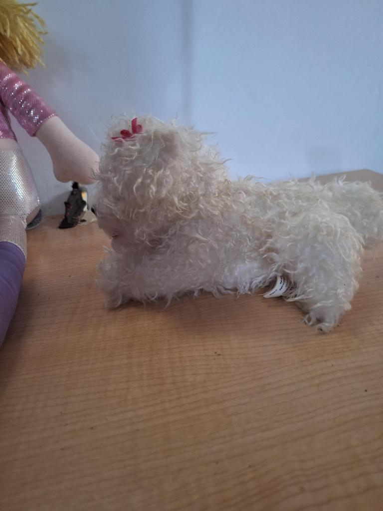 knuffel hond, Ophalen of Verzenden, Zo goed als nieuw, Hond