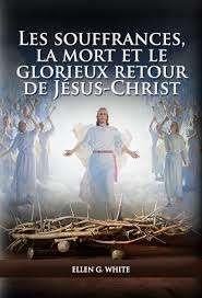 Gagner le ciel par des souffrances ?, Livres, Religion & Théologie, Comme neuf, Christianisme | Protestants, Enlèvement