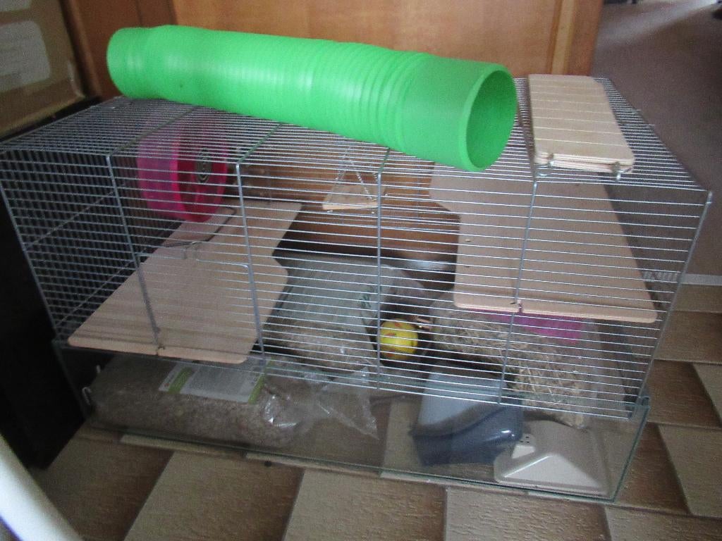 hamsterkooi, Dieren en Toebehoren, Ophalen, Kooi, Zo goed als nieuw, Cavia