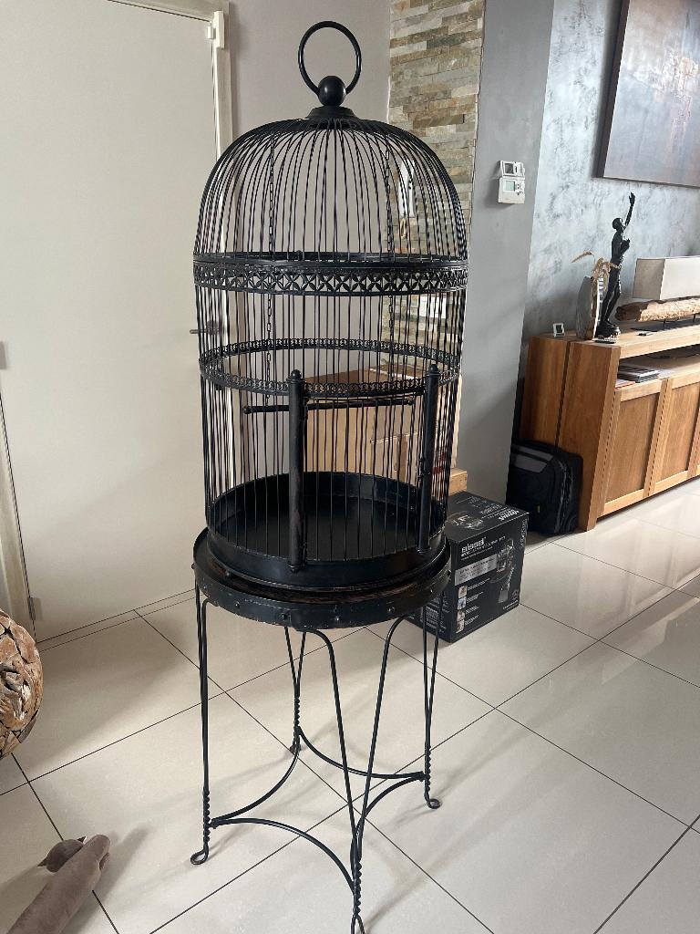 Cage à oiseaux en fer forgé, Dieren en Toebehoren, Vogels | Hokken en Kooien, Gebruikt, Vogelkooi, Metaal, Ophalen