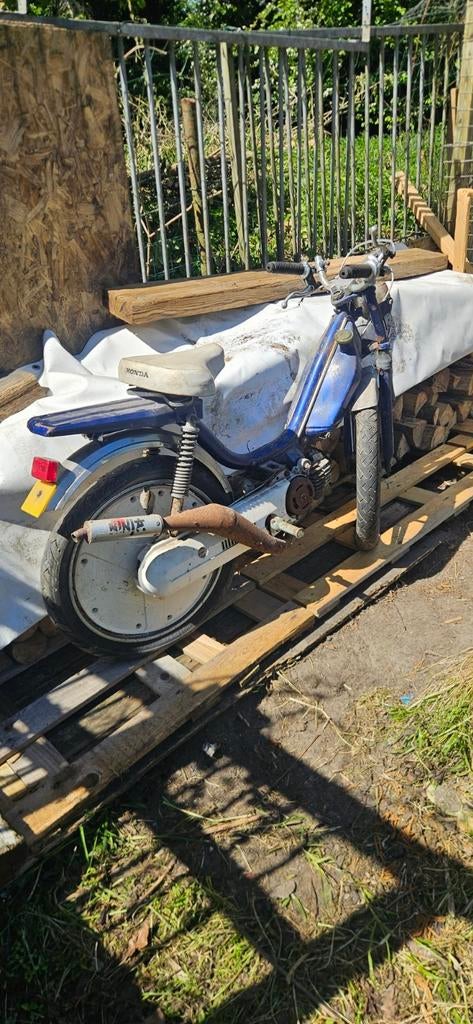 Honda camino, Vélos & Vélomoteurs