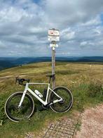 Focus Paralane 8.7 race edition, Carbon, Heren, Ophalen of Verzenden, Overige maten