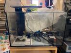 Aquarium Superfish Quadro 70 zwart, Enlèvement, Utilisé, Aquarium vide