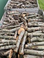 Gedroogd appel brandhout, 6 m³ of meer, Ophalen, Overige houtsoorten, Blokken