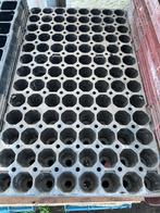 stekplaat plantplaat zaaiplaat 104 plantgaten, Enlèvement ou Envoi, Moins de 25 cm, Comme neuf, Synthétique