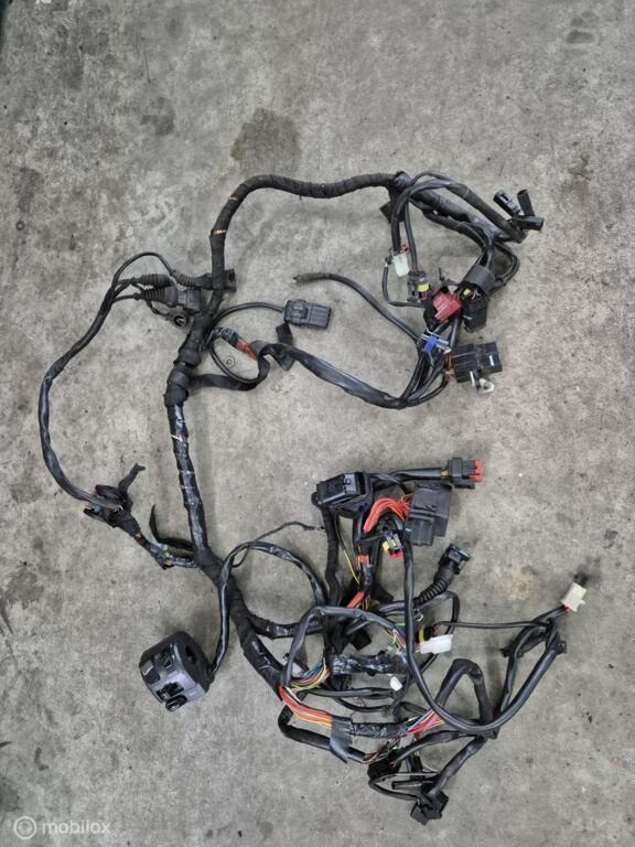 Kabelboom draadboom Hypermotard 1100, Motos, Enlèvement ou Envoi, Factorystore.service@ducati.com, Via Antonio Cavalieri Ducati, 74/5, 74/6, 40132 Bologna BO