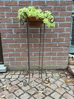 Metalen bloemenstandaard met planten, Ophalen, Zo goed als nieuw