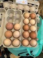 Eieren Bio te koop, Enlèvement ou Envoi, Comme neuf, Poulailler