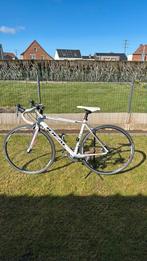 Koersfiets Ideal, 10 tot 15 versnellingen, Heren, Aluminium, 49 tot 53 cm