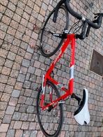 Koersfiets massi met groep campagnolo, Vélos & Vélomoteurs, Enlèvement, Comme neuf, Carbone