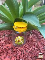 Piège à frelon asiatique Nutella AVEC TOIT! – Vespa velutina, Abeilles