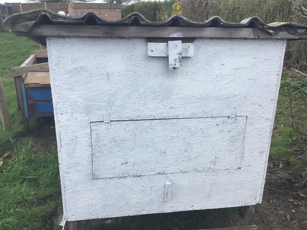 Kippenhok, Dieren en Toebehoren, Ophalen