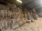 kleine pakjes hooi, Zakelijke goederen, Landbouw | Veevoer, Ophalen