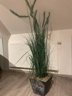 Kunstplant (150cm), Ophalen, Zo goed als nieuw