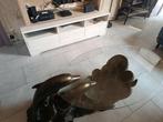 Dauphin salontafel, Huis en Inrichting, Stoffering | Vloerbedekking, Ophalen, Zo goed als nieuw