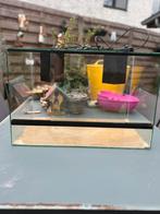 Terrarium, Dieren en Toebehoren, Reptielen en Amfibieën | Toebehoren, Ophalen, Gebruikt, Terrarium of Paludarium