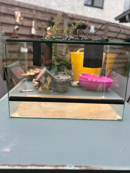 Terrarium, Dieren en Toebehoren, Reptielen en Amfibieën | Toebehoren, Gebruikt, Terrarium of Paludarium, Ophalen