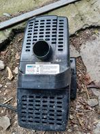 Pomp waterland, Dieren en Toebehoren