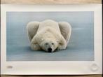 Polar Bear at Ease, by Norbert Rosing;  National Geographic, Ophalen of Verzenden
