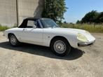 1968 Alfa Romeo Spider Duetto Oldtimer, Auto's, Gebruikt, Cabriolet, Spider, Bedrijf