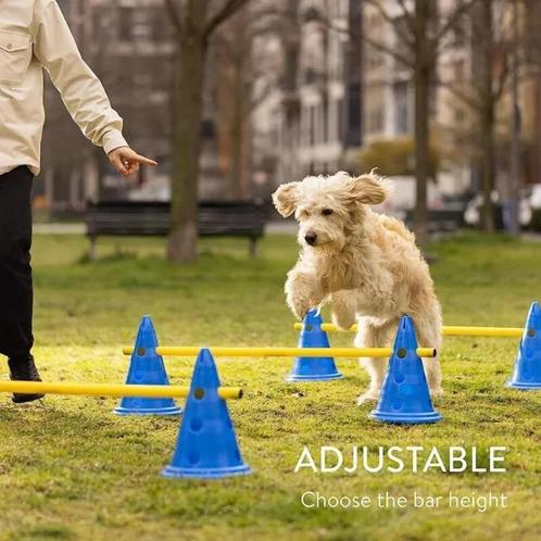 Huisdier Behendigheid Training - agility honden, Dieren en Toebehoren, Honden-accessoires