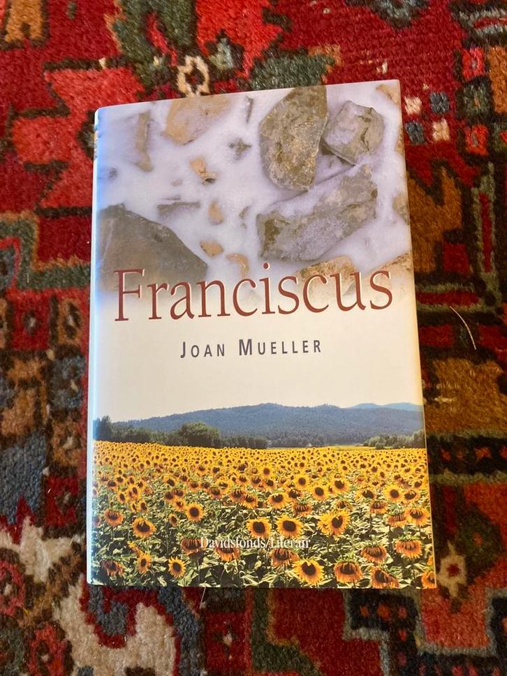 J. Mueller - Franciscus, Boeken, Literatuur, Zo goed als nieuw, Amerika, Ophalen of Verzenden