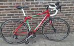 koersfiets TEAM 100, Gebruikt, Aluminium, 15 tot 20 versnellingen, Ophalen