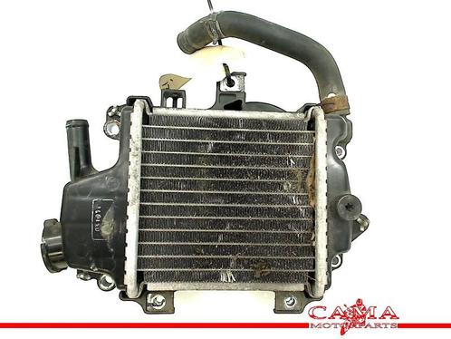 RADIATEUR Honda PCX 125 2013 (PCX125 JF47 ESP) (01-2013/-), Motoren, Onderdelen | Honda, Gebruikt