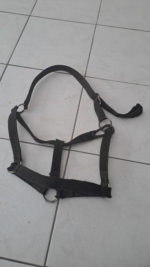 Halster, Dieren en Toebehoren, Paarden en Pony's | Hoofdstellen en Tuigage, Zo goed als nieuw, Ophalen of Verzenden