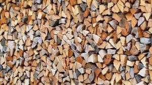 Brandhout, Jardin & Terrasse, Bois de chauffage, Branches, Enlèvement