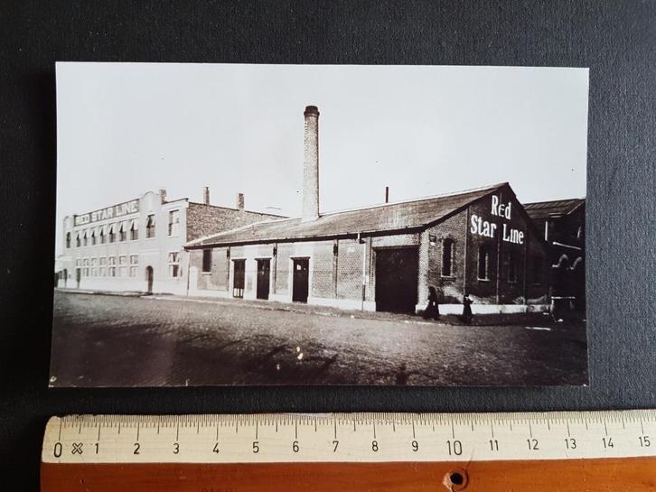 Reproductie Foto Red Star Line Antwerpen 2006, Verzamelen, Postkaarten | België, Ongelopen, Antwerpen, 1980 tot heden, Verzenden