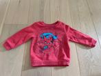 Trui Spiderman maat 92, Kinderen en Baby's, Kinderkleding | Maat 92, Trui of Vest, Ophalen of Verzenden, Zo goed als nieuw, Primark