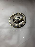 0.1 GHI Phantom, Animaux & Accessoires, Serpent, Domestique, 0 à 2 ans
