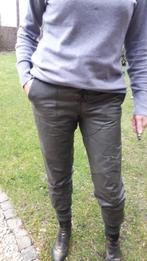 lederen broek Dranella, Motoren, Kleding | Motorkleding, Ophalen, Tweedehands, Dames, Broek | leer
