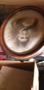 Kader met foto's, Ophalen of Verzenden