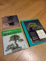 3x bonsai, Antiek en Kunst, Ophalen