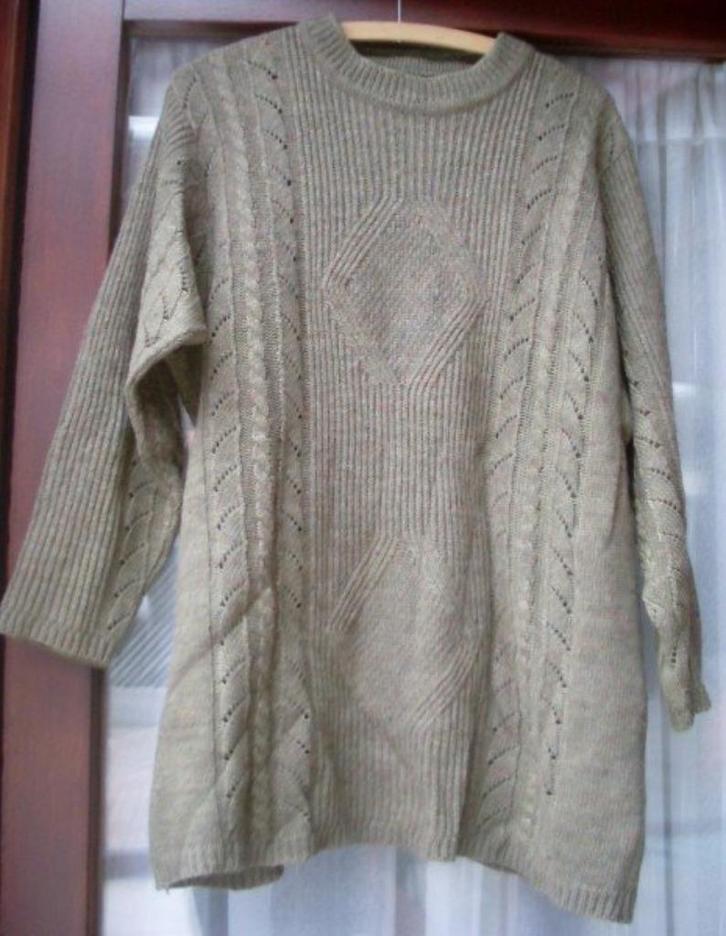 Trui maat L, Kleding | Dames, Truien en Vesten, Gedragen, Maat 42/44 (L), Bruin, Ophalen of Verzenden