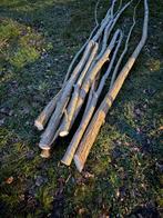 Wilgentakken, Tuin en Terras, Planten | Bomen, Ophalen, Overige soorten