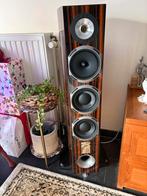 TRIANGLE MAGELLAN CELLO 40th Anniversary luidsprekers, Ophalen, Zo goed als nieuw