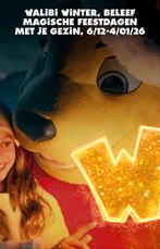 4 e-tickets WALIBI WINTERT 135€(samen)van 06/12 t/m 04/01/26