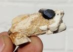 TOERMALIJN op ORTHOKLAAS uit Erongo in NAMIBIE, Verzamelen, Ophalen of Verzenden, Mineraal