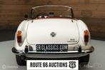 Alfa Romeo Giulia 1964 | Route 66 auctions, Auto's, Cabriolet, Wit, Bedrijf, Handgeschakeld